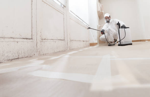 24/7 Emergency Crawl Space Mold Remediation experts in Greenville, GA