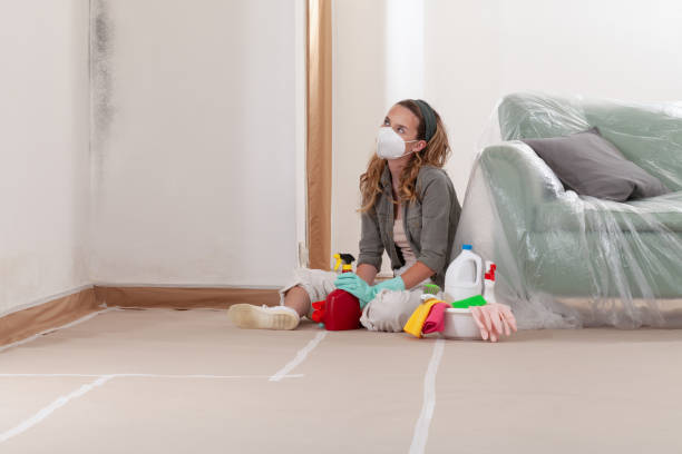 Reliable Crawl Space Mold Remediation contractor in Greenville, GA by 24 Hour Mold Removal
